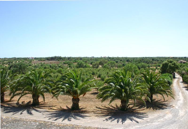 Son Fumat Villa Llombarts Exterior foto